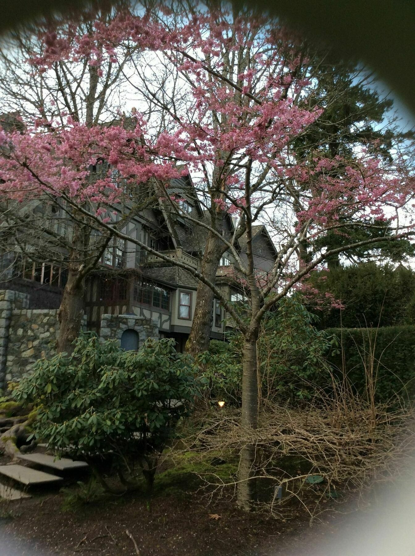 English Inn Esquimalt Exterior photo